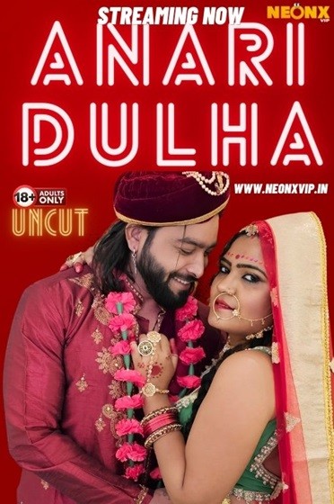 Anari Dulha 2024 NeonX Hindi Short Film 720p HDRip 300MB Download