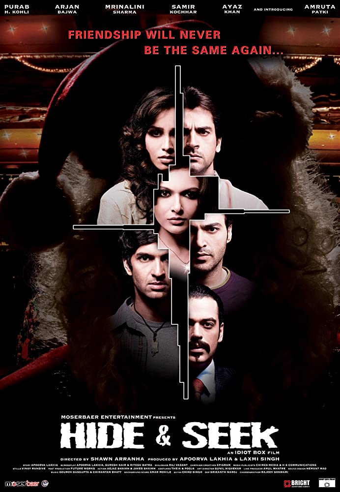 Hide & Seek 2010 Hindi Movie 250MB HDRip Download