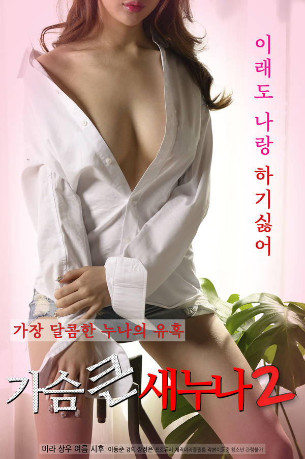 18+ Big Tits Older Sister 2 (2020) Korean Movie 720p HDRip 400MB Download