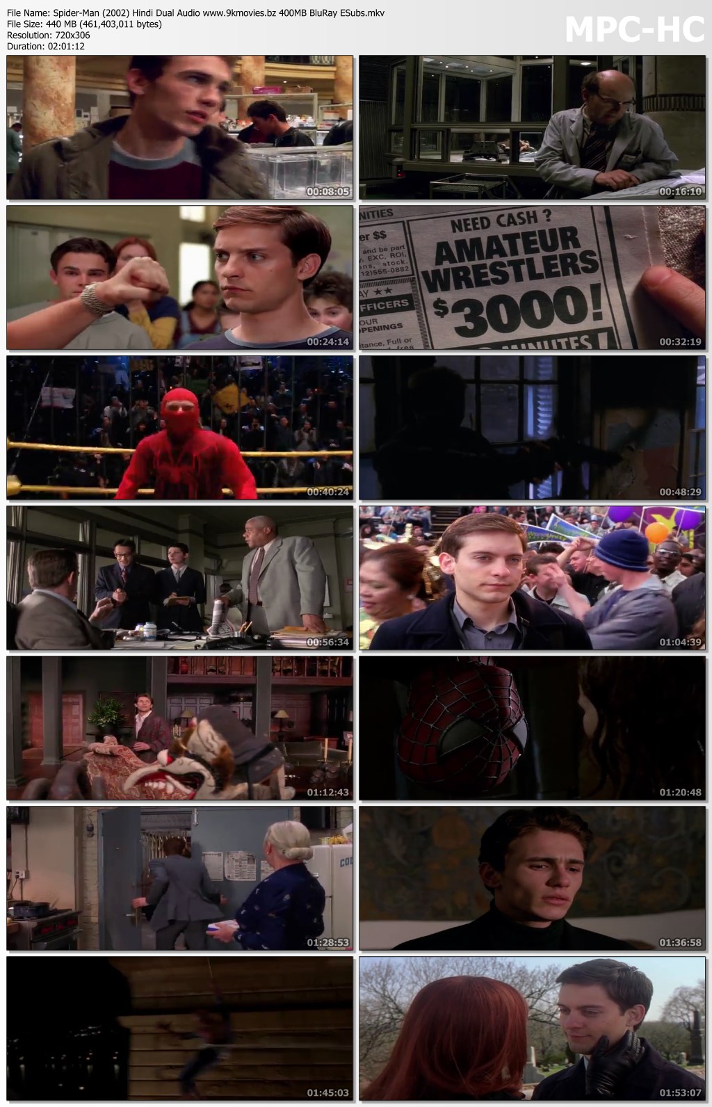 Spider-Man (2002) Hindi Dual Audio 480p BluRay 440MB ESubs Download