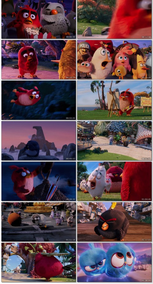 The-Angry-Birds.jpg