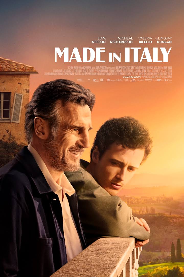 Made in Italy 2020 English 310MB HDRip ESub Download