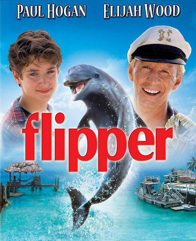 Flipper 1996 Hindi Dual Audio 340MB BluRay ESubs Download