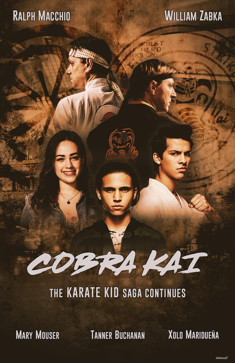 Cobra Kai 2020 Hindi S01 Complete Netflix Web Series 1GB HDRip Download