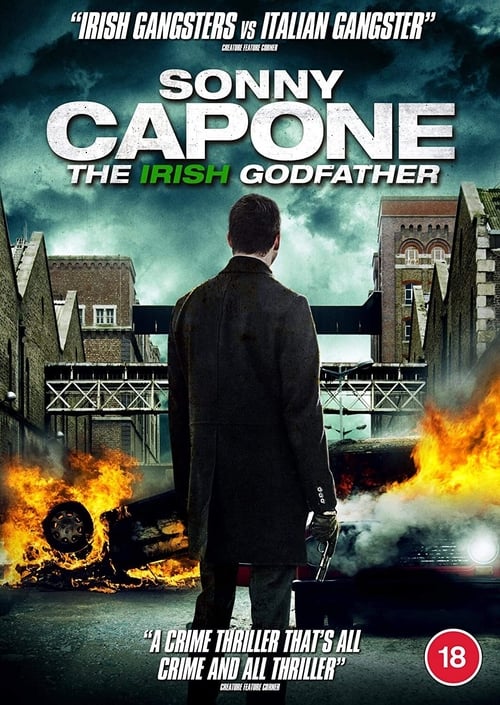 Sonny Capone 2020 English 720p HDRip 800MB | 300MB Download