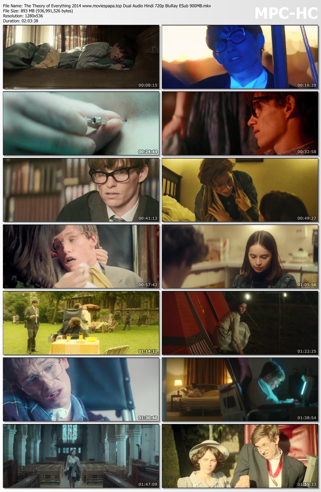 2014 The Theory Of Everything