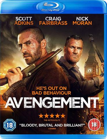 Avengement (2019) UNCUT Dual Audio Hindi ORG 720p BluRay 850MB Download