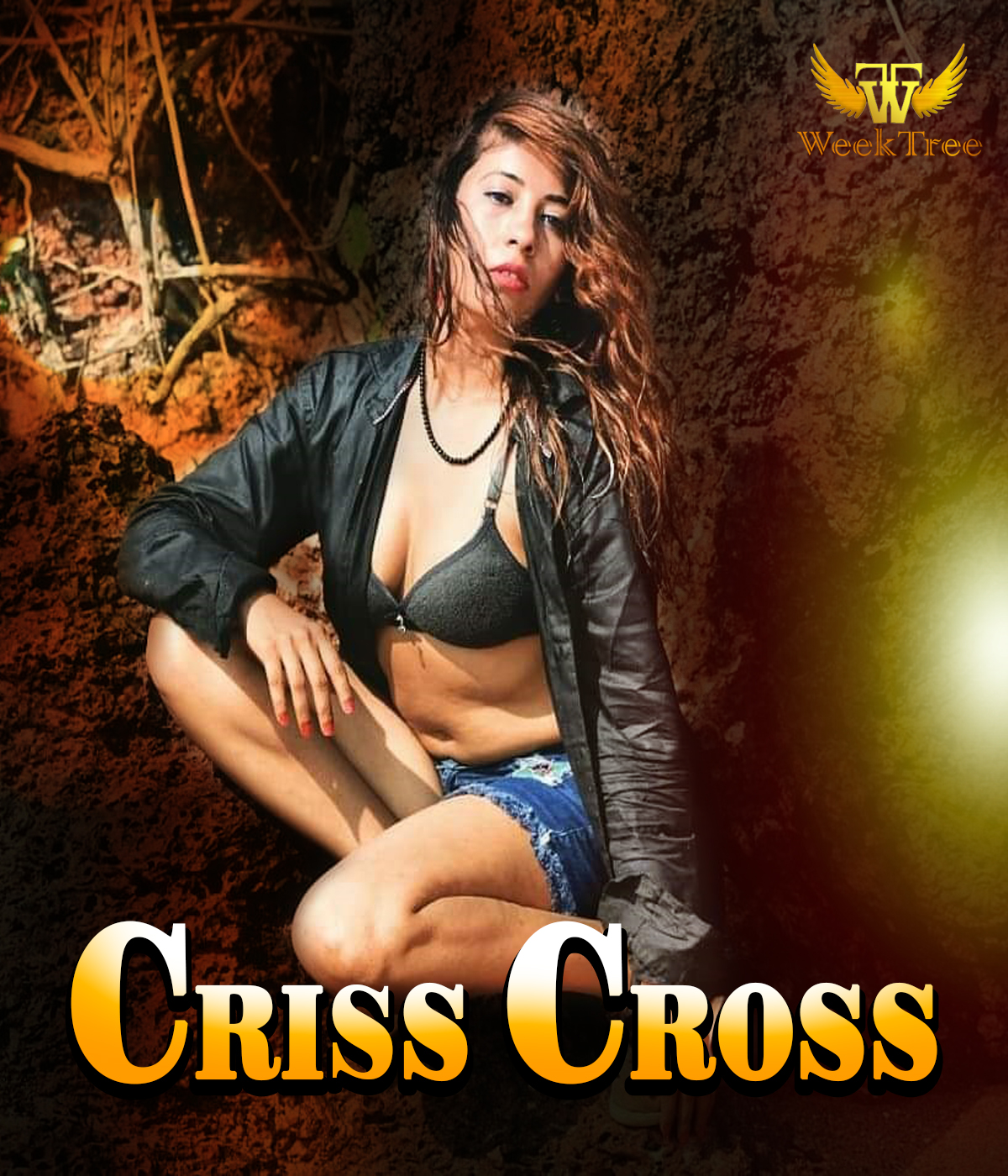 18+ Criss Cross 2020 Weektree Original Hindi Short Film 720p HDRip 200MB x264 AAC