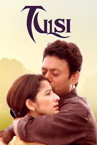 Tulsi 2008 Hindi 430MB HDRip Download