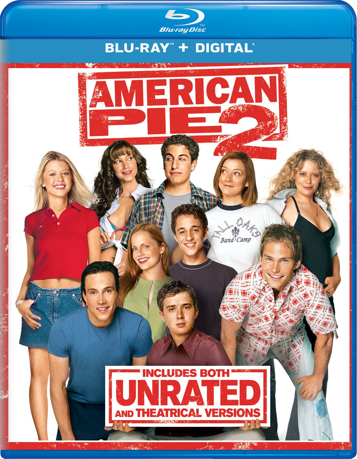 18+ American Reunion 2012 Hindi Dual Audio 400MB BluRay Download