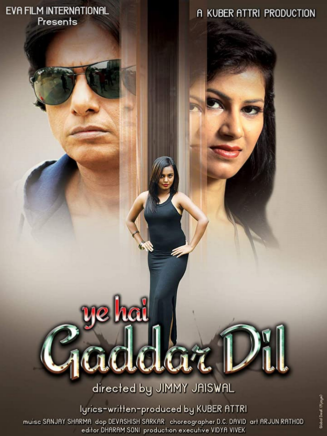 Yeh Hai Gaddar Dil 2017 Hindi 1080p HDRip 1.2GB Download