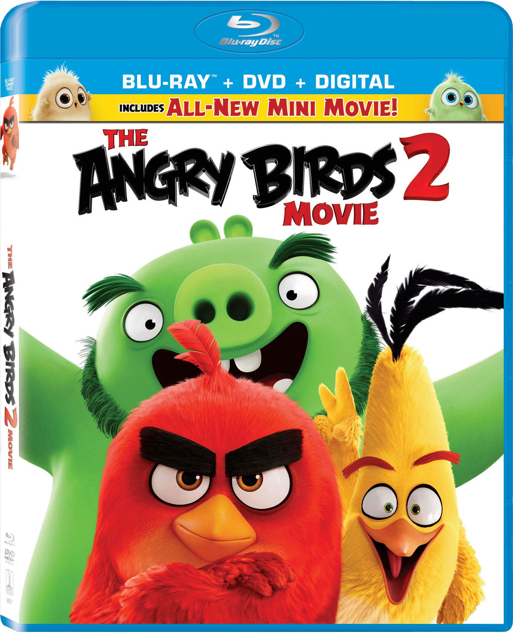 The Angry Birds 2019 Hindi Dual Audio 720p BluRay 950MB Download