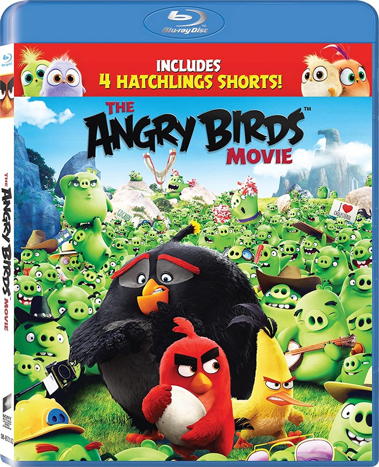 The Angry Birds 2016 Hindi Dual Audio BluRay 450MB Download