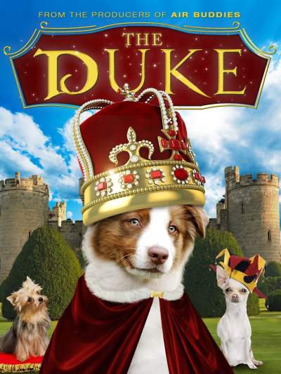 The Duke 1999 Hindi Dual Audio 1080p BluRay 1.5GB Download