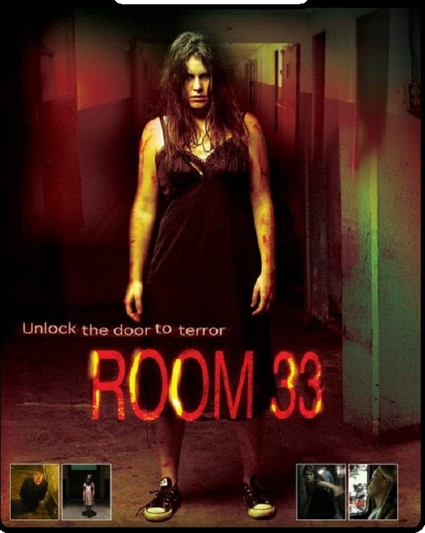 Room 33 (2009) Hindi Dual Audio 480p DVDRip x264 330MB Download