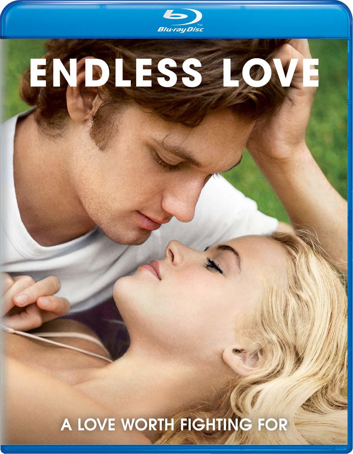 Endless Love 2014 Hindi Dual Audio 400MB BluRay ESubs Download