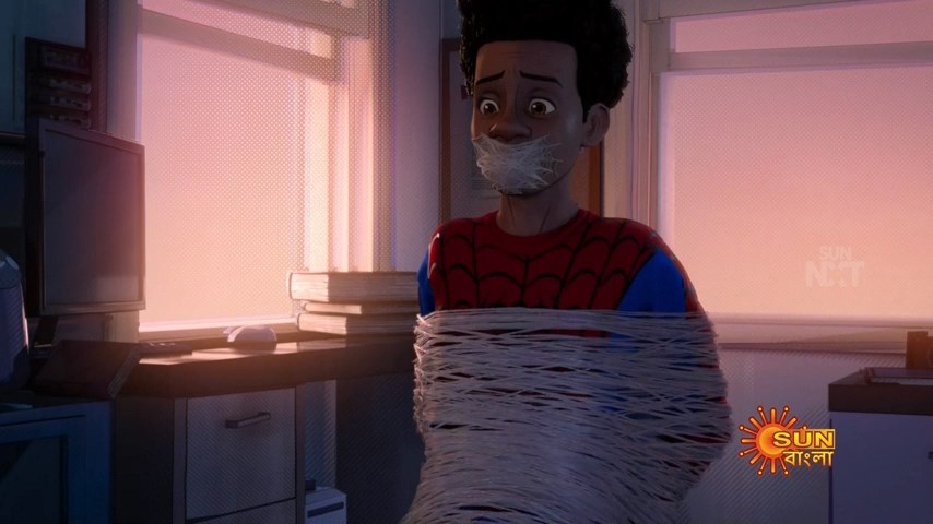 Spider Man Into the Spider Verse (12)