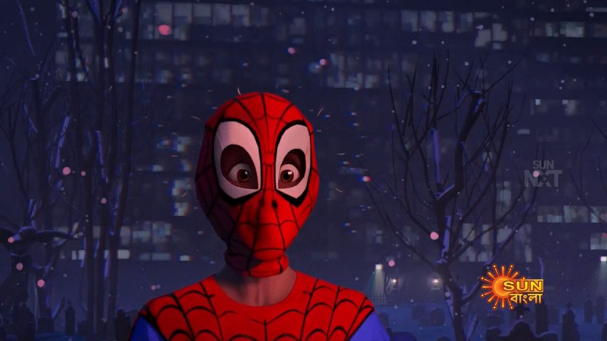 Spider Man Into the Spider Verse (13)