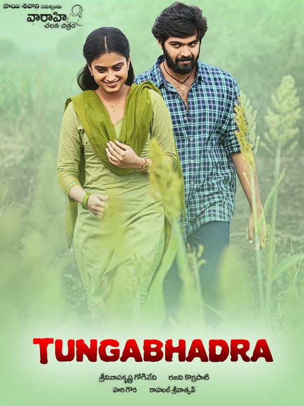 Tungabhadra (2015) 480p HDRip Hindi Dual Audio Movie [450MB]