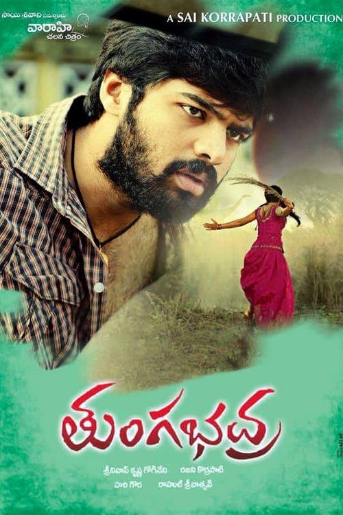 Tungabhadra 2015 Hindi Dual Audio UNCUT HDRip 400MB Download