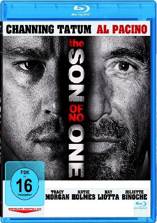 The Son of No One 2011 Hindi ORG Dual Audio 720p BluRay 950MB Download