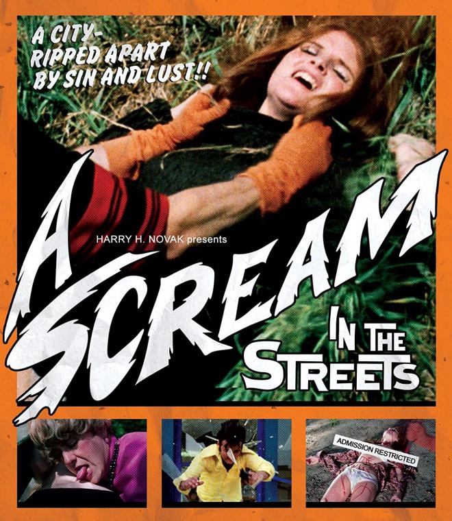 18+ A Scream in the Streets 1973 English 480p SDRip ESub 300MB Download