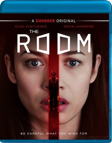 The Room (2019) Hindi ORG Dual Audio BluRay 450MB Download