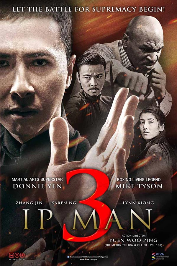 Ip Man 3 (2015) Hindi ORG Dual Audio BluRay 400MB Download