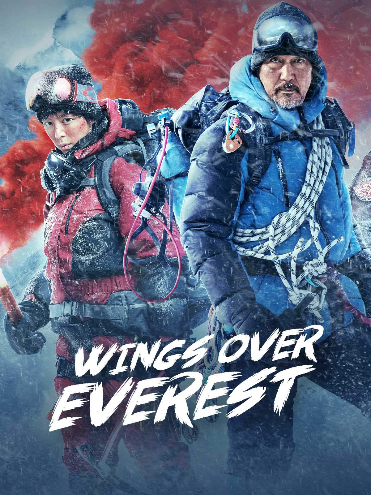 Wings Over Everest (2019) 480p HDRip Hindi ORG Dual Audio Movie [380MB]