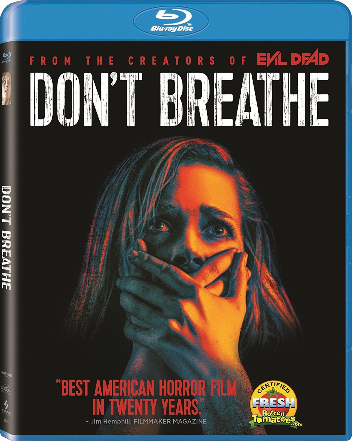 Dont Breathe (2016) Hindi ORG Dual Audio 720p BluRay 800MB Download