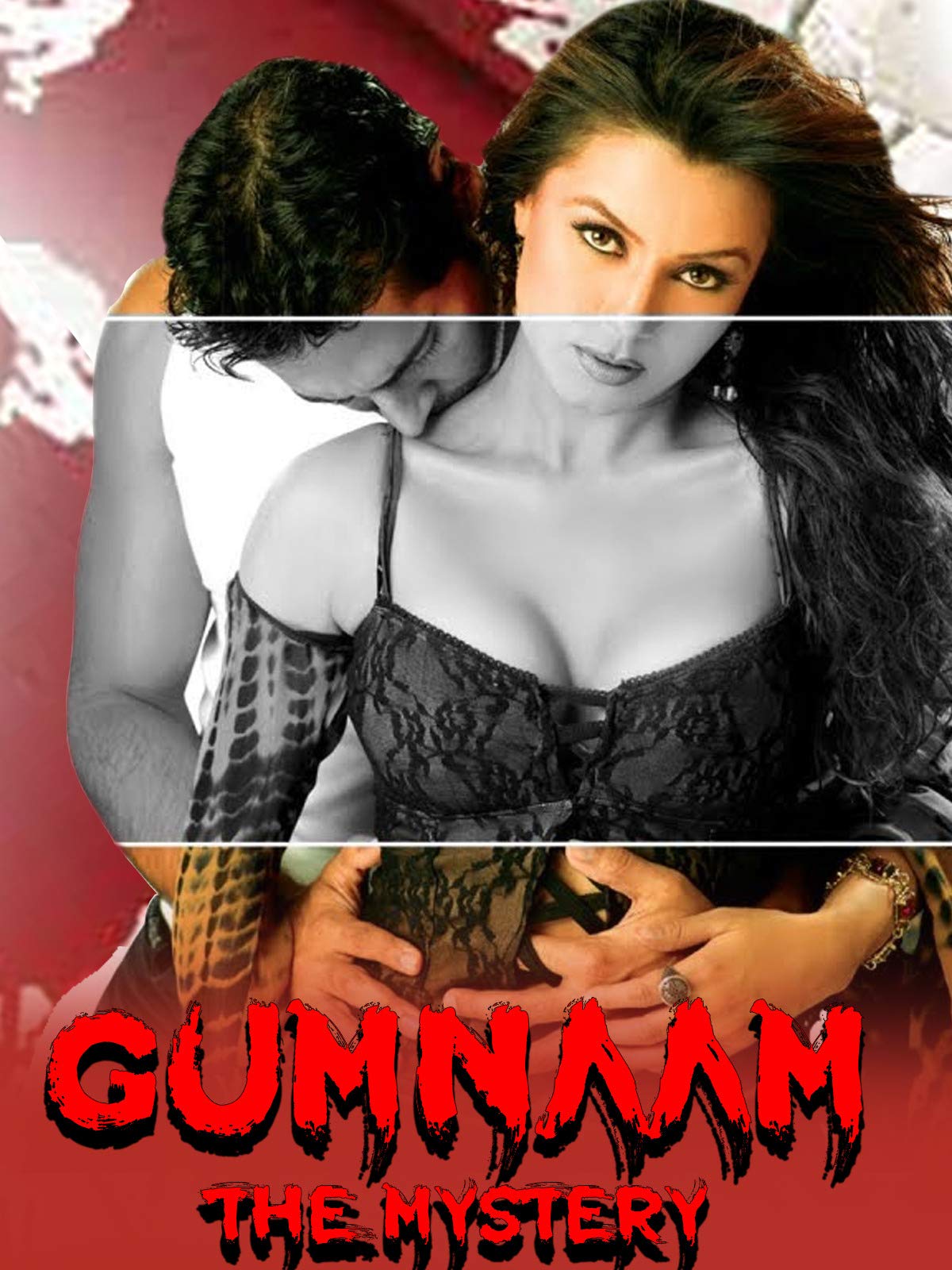 Gumnaam The Mystery 2008 Hindi Movie AMZN HDRip 300MB Download