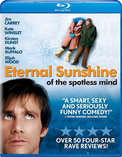 Eternal Sunshine of the Spotless Mind (2004) 480p BluRay Hindi ORG Dual Audio Movie ESubs [400MB]