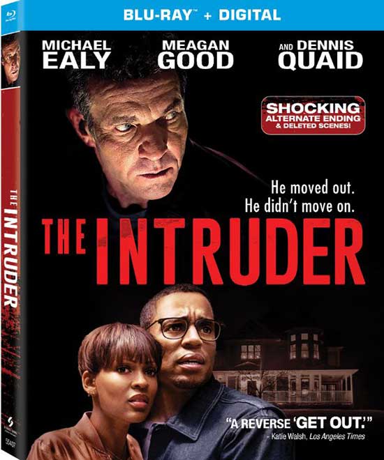 The Intruder 2019 Hindi ORG Dual Audio BluRay 350MB Download