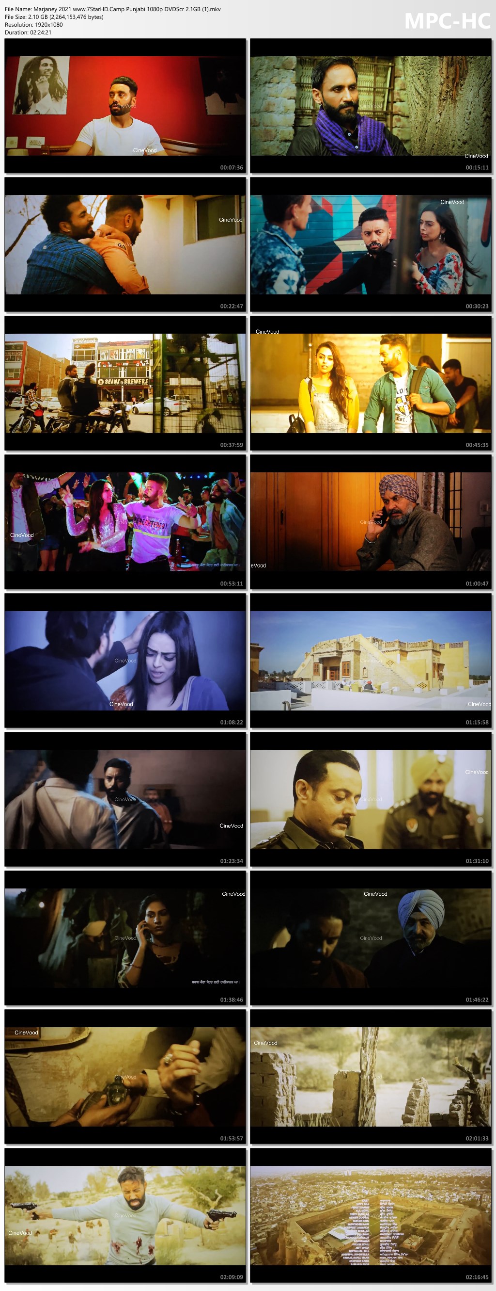 Marjaney 2021 Punjabi 1080p DVDScr 2.1GB Download