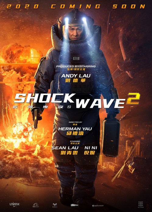 Shock Wave 2 (2020) Dual Audio Hindi ORG & Chinese 480p 720o 1080p BluRay HD Full Movie