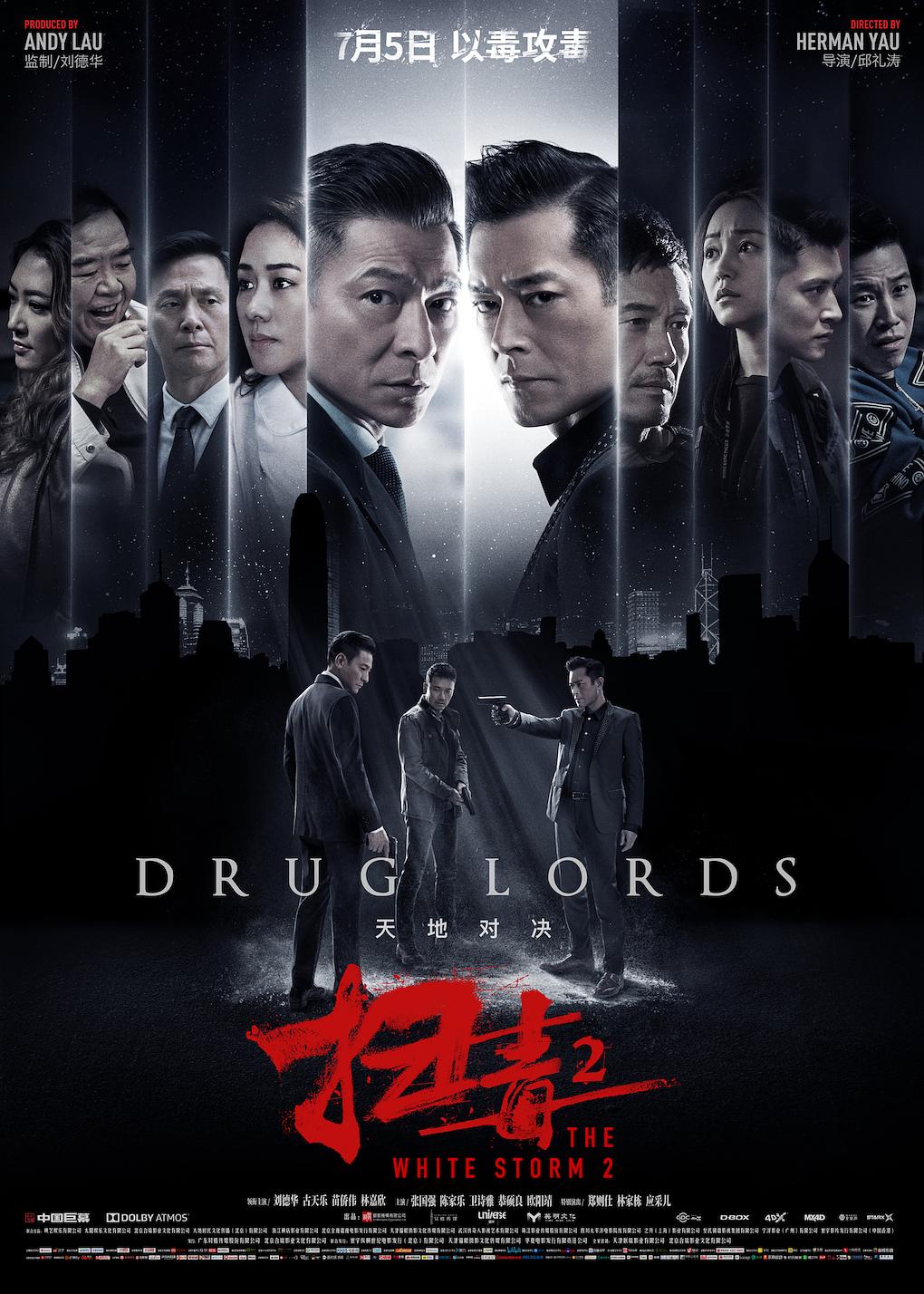 The White Storm 2 Drug Lords (2019) Hindi ORG Dual Audio BluRay 450MB Download