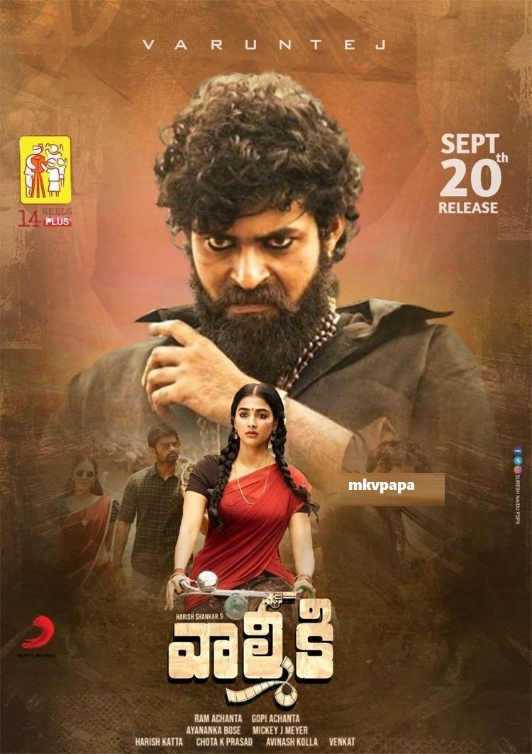 Gaddalakonda Ganesh 2019 Hindi Dubbed HDRip 500MB Download