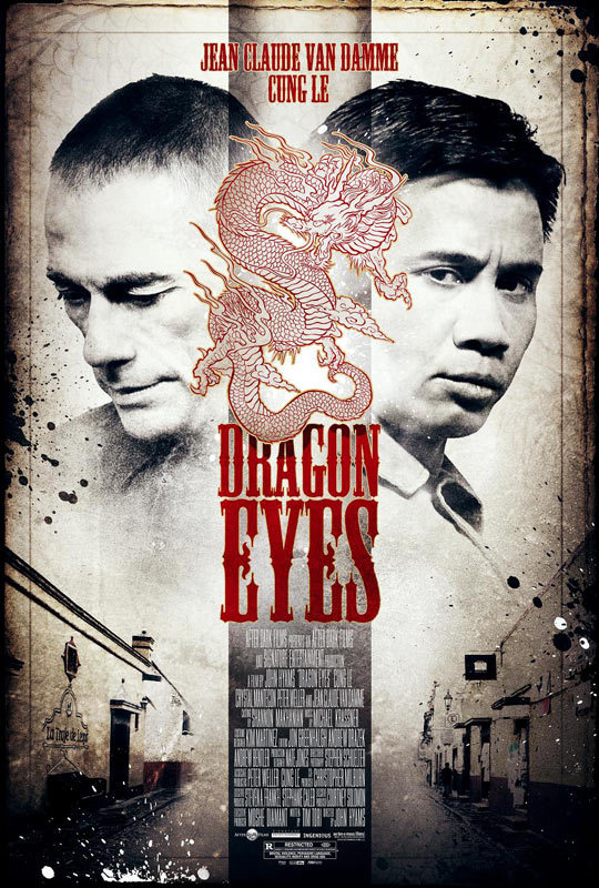 Dragon Eyes 2012 Dual Audio Hindi ORG 300MB BluRay 480p ESubs Download