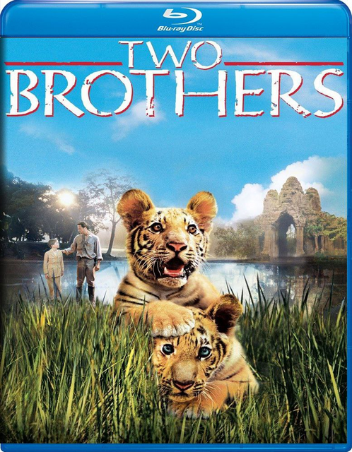 Two Brothers 2004 Dual Audio Hindi ORG 400MB BluRay 480p ESubs Download