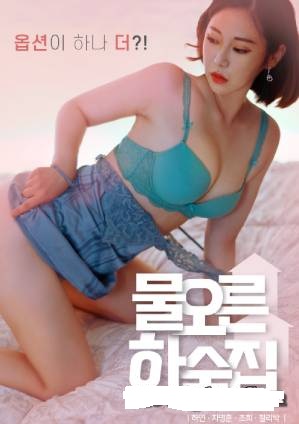 18+ Watery Boarding House (2022) Korean Movie 720p HDRip 900MB Download