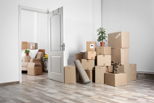 If you're planning to start a moving business, you should know that starting a moving business seems like it should be relatively easy but only on paper. However, it doesn't require much in terms of physical start-up costs, probably just what you already have in your possession. If you already own a vehicle (or vehicles) and other equipment such as dollies and hand trucks, you're most of the way there. This article will give you some tips you need to consider if starting a moving company is on the top of your to-do list, so let's begin with the first one.

Visit here: https://www.businessrocket.com/