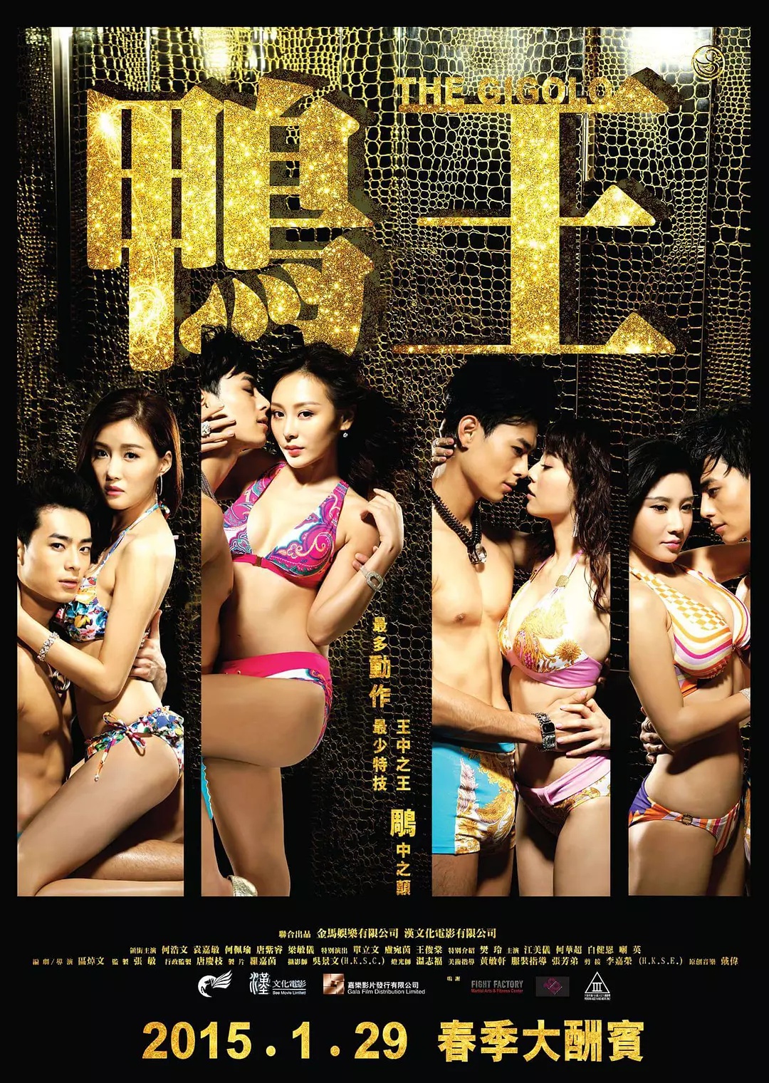 18+ The Gigolo 2015 Chinese 480p BluRay 300MB Download