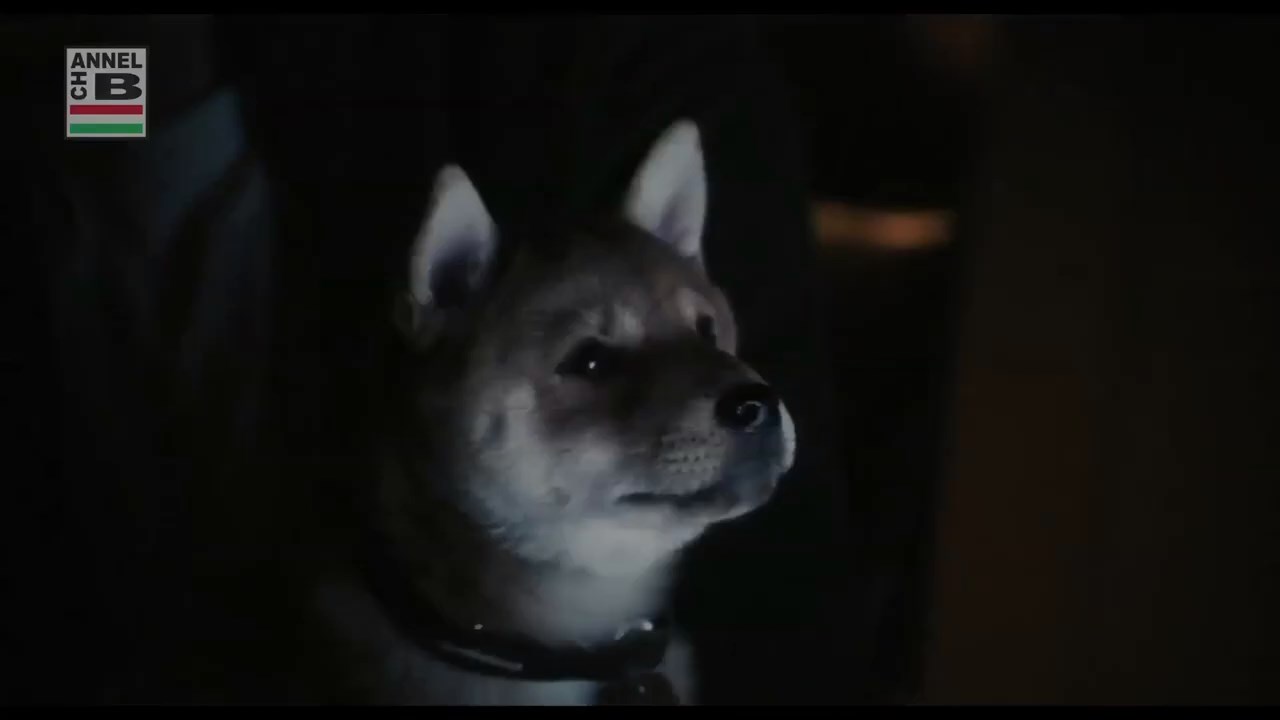 Hachiko---A-Dogs-Story-2021-Bengali-Dubbed-Movie.mp4_snapshot_00.20.21.560.jpg