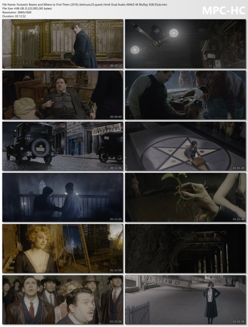 Fantastic-Beasts-and-Where-to-Find-Them-2016-bdmusic25.quest-Hindi-Dual-Audio-AMAZ-4K-BluRay-5GB-ESub.mkv_thumbs.jpg