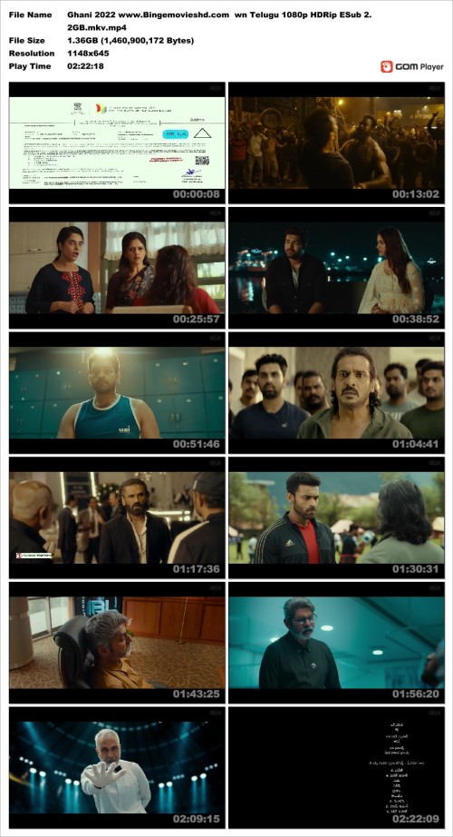 Ghani 2022 www.Bingemovieshd.com wn Telugu 1080p HDRip ESub 2.2GB.mkv.mp4 Snapshot