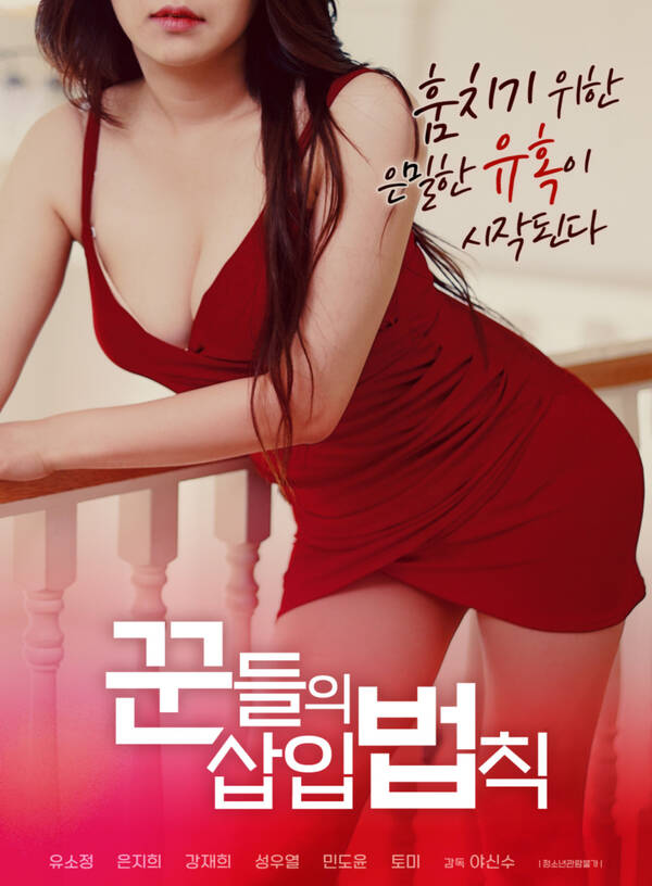 18+ Scammers’ Insertion Law 2022 Korean Movie 720p HDRip 700MB Download