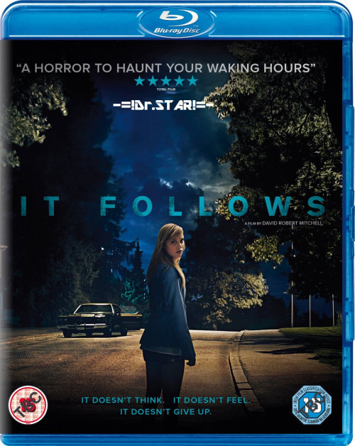 It Follows (2014) Hindi ORG Dual Audio BluRay 300MB Download