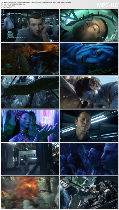 Avatar-2009-www.bdmusic25.quest-IMAX-EXTENDED-Hindi-Dual-Audio-1080p-Bluray-3.3GB-ESub.mkv_thumbs.jpg