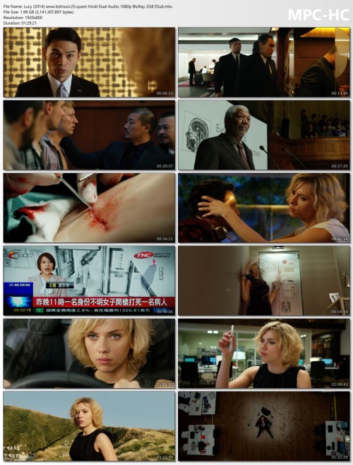 Lucy-2014-www.bdmusic25.quest-Hindi-Dual-Audio-1080p-BluRay-2GB-ESub.mkv_thumbs.jpg