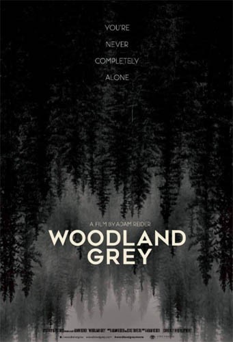Download Woodland Grey 2022 English Movie 1080p HDRip ESub 1.4GB